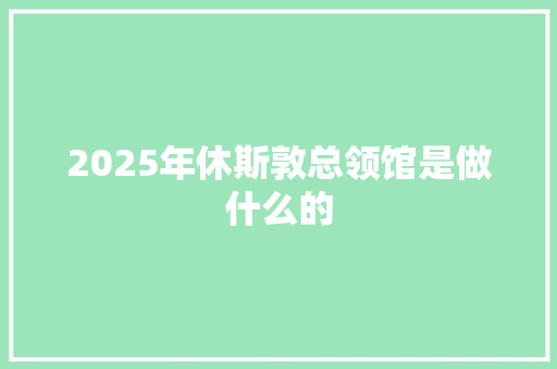 2025年休斯敦总领馆是做什么的
