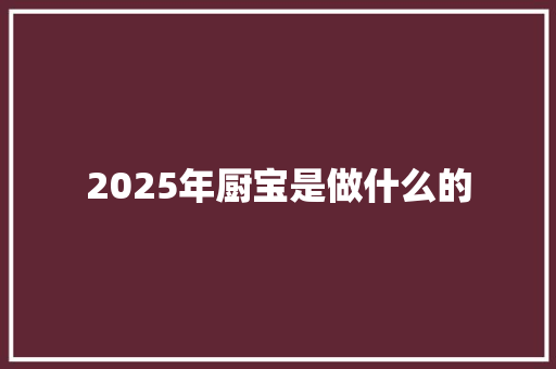 2025年厨宝是做什么的