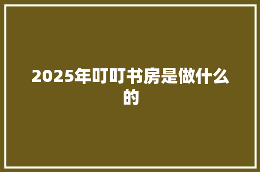 2025年叮叮书房是做什么的