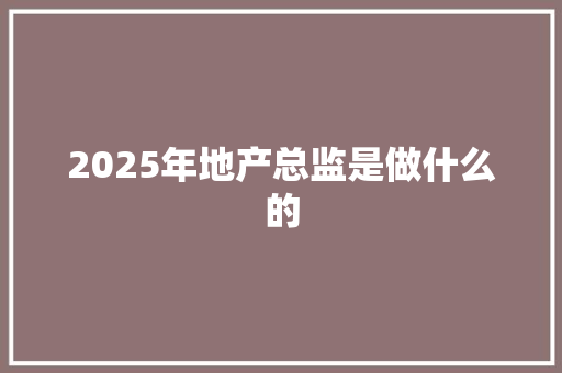 2025年地产总监是做什么的