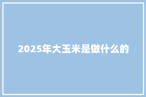 2025年大玉米是做什么的