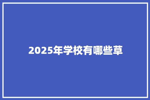 2025年学校有哪些草