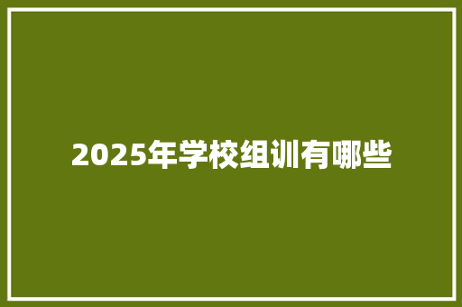 2025年学校组训有哪些