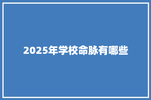 2025年学校命脉有哪些