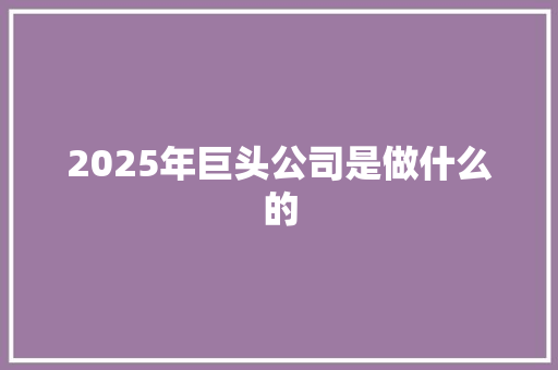2025年巨头公司是做什么的