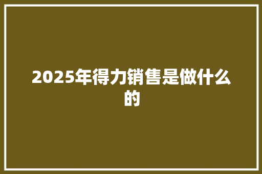 2025年得力销售是做什么的