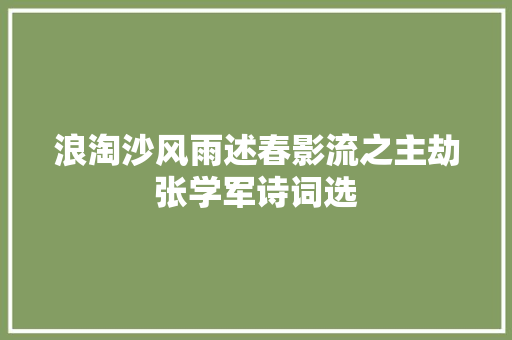 浪淘沙风雨述春影流之主劫张学军诗词选