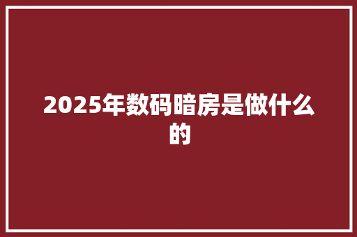 2025年数码暗房是做什么的