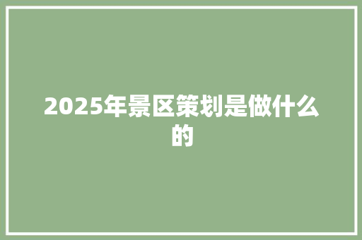2025年景区策划是做什么的