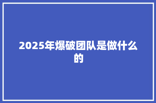 2025年爆破团队是做什么的