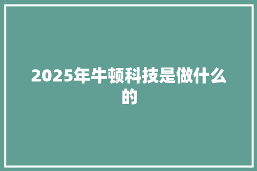 2025年牛顿科技是做什么的