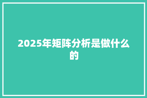 2025年矩阵分析是做什么的