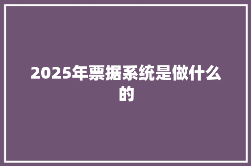 2025年票据系统是做什么的