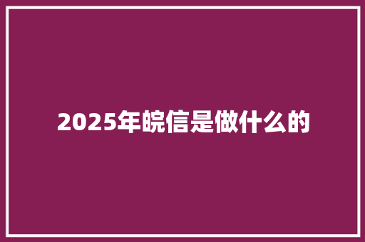 2025年皖信是做什么的