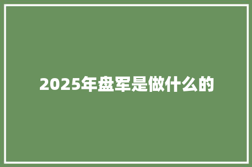 2025年盘军是做什么的