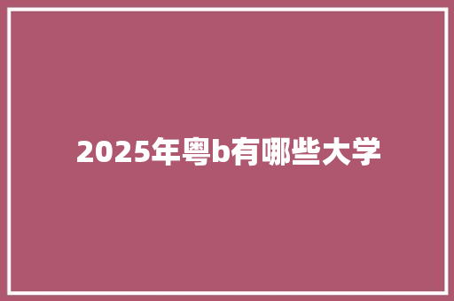 2025年粤b有哪些大学