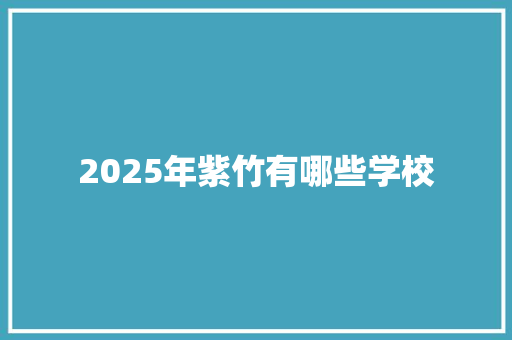 2025年紫竹有哪些学校