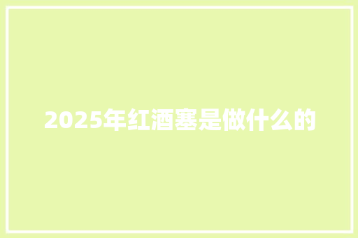 2025年红酒塞是做什么的