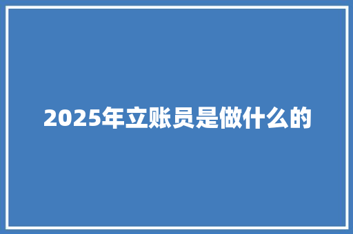 2025年立账员是做什么的