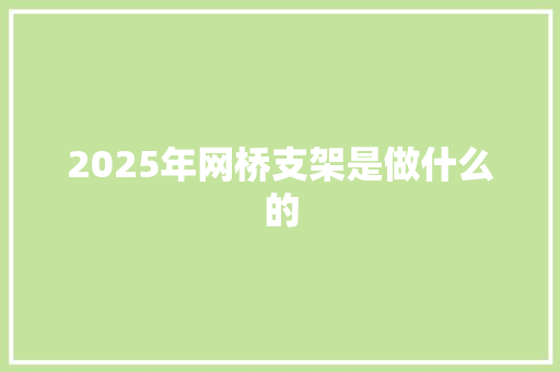 2025年网桥支架是做什么的