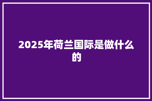 2025年荷兰国际是做什么的