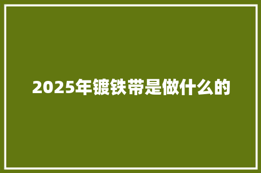 2025年镀铁带是做什么的