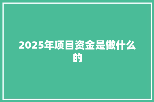 2025年项目资金是做什么的