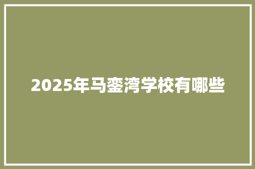 2025年马銮湾学校有哪些