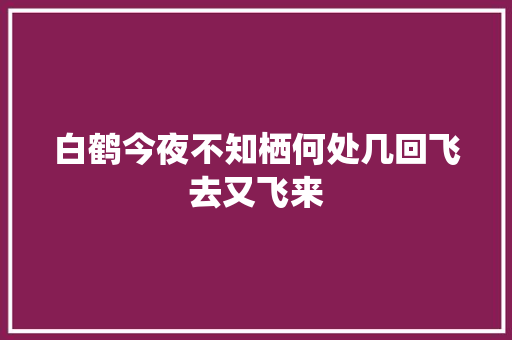 白鹤今夜不知栖何处几回飞去又飞来