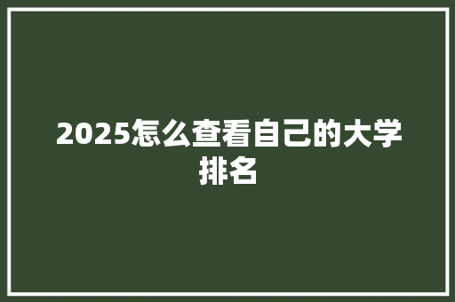 2025怎么查看自己的大学排名