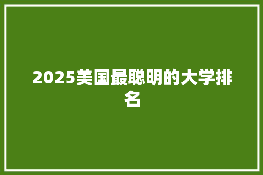 2025美国最聪明的大学排名