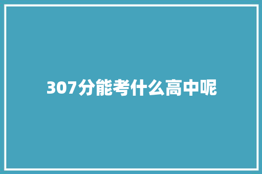 307分能考什么高中呢