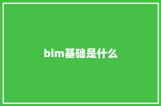 bim基础是什么