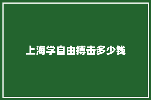 上海学自由搏击多少钱