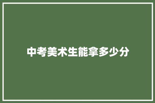 中考美术生能拿多少分