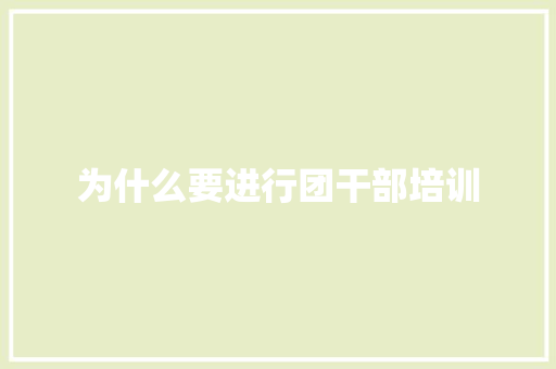 为什么要进行团干部培训