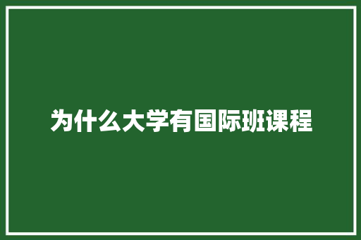为什么大学有国际班课程