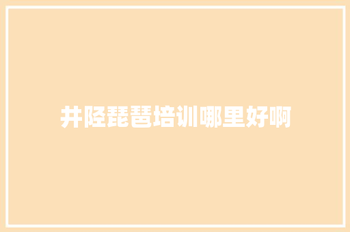 井陉琵琶培训哪里好啊