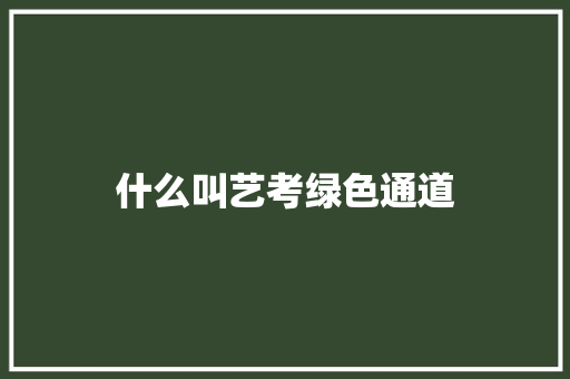 什么叫艺考绿色通道