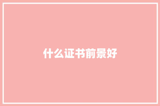 什么证书前景好