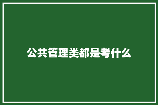 公共管理类都是考什么