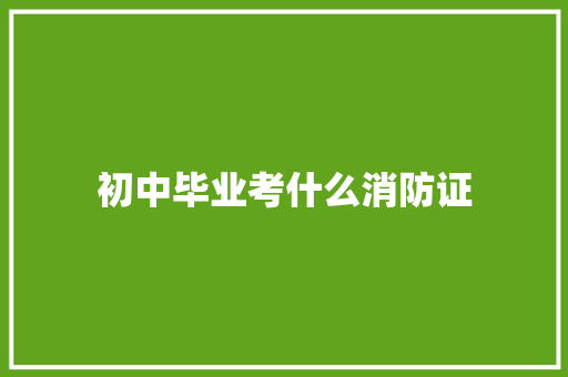 初中毕业考什么消防证