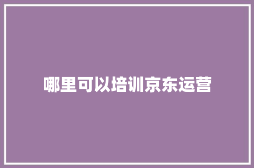 哪里可以培训京东运营