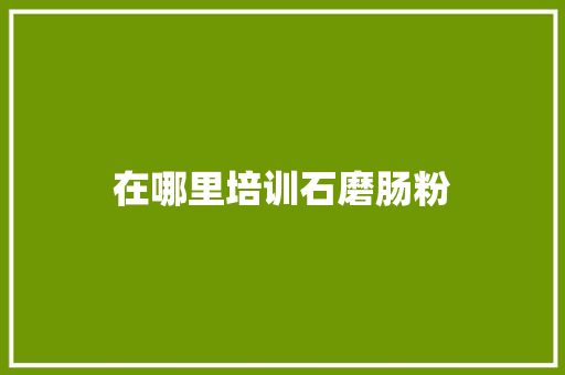 在哪里培训石磨肠粉