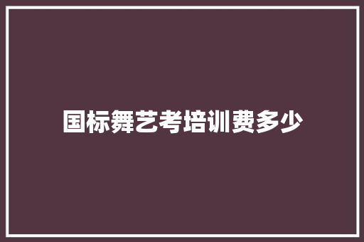 国标舞艺考培训费多少
