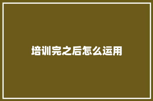 培训完之后怎么运用