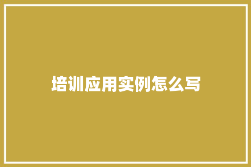 培训应用实例怎么写