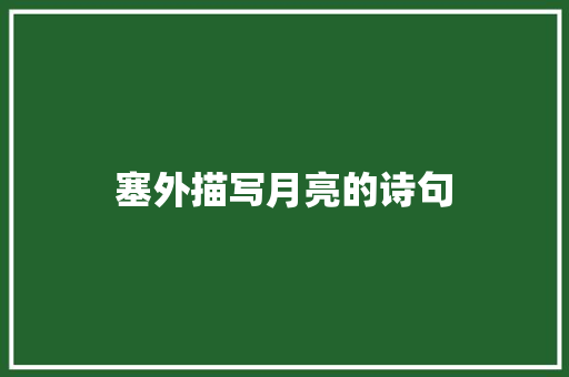 塞外描写月亮的诗句