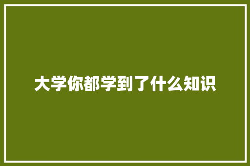 大学你都学到了什么知识