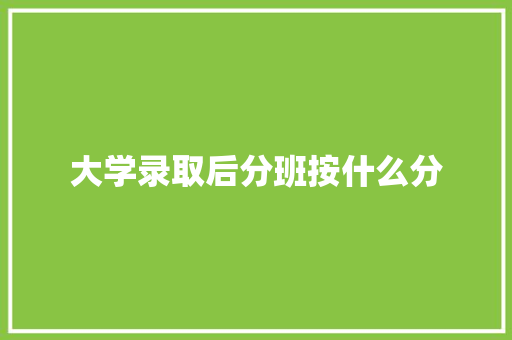 大学录取后分班按什么分